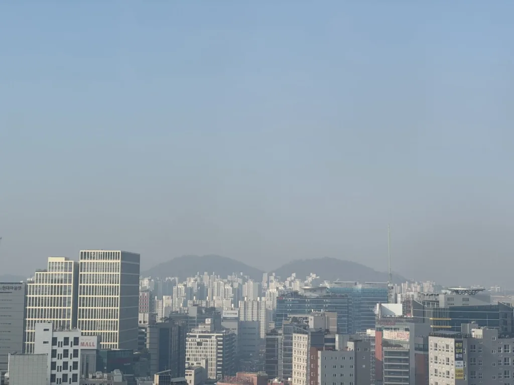 미세먼지