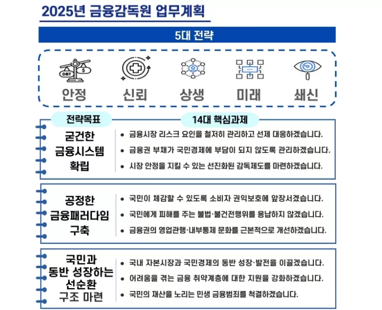 금융감독원 2025년 업무계획