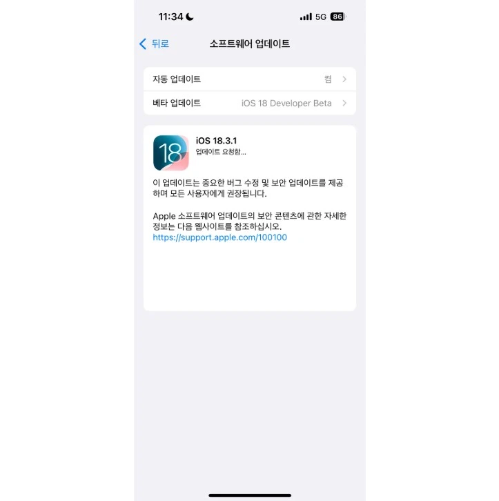 iOS 18.3.1