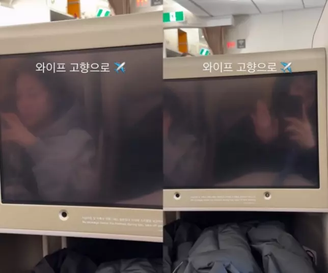 에일리