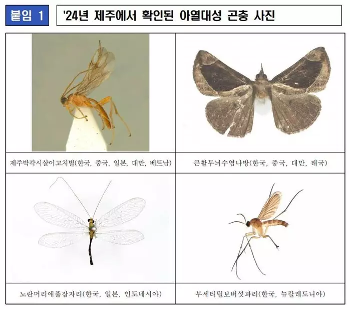 아열대성 곤충