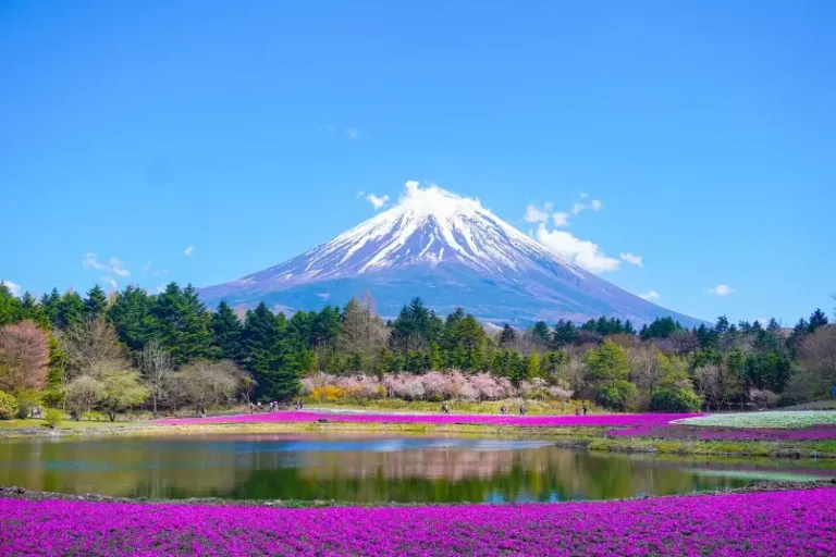 일본