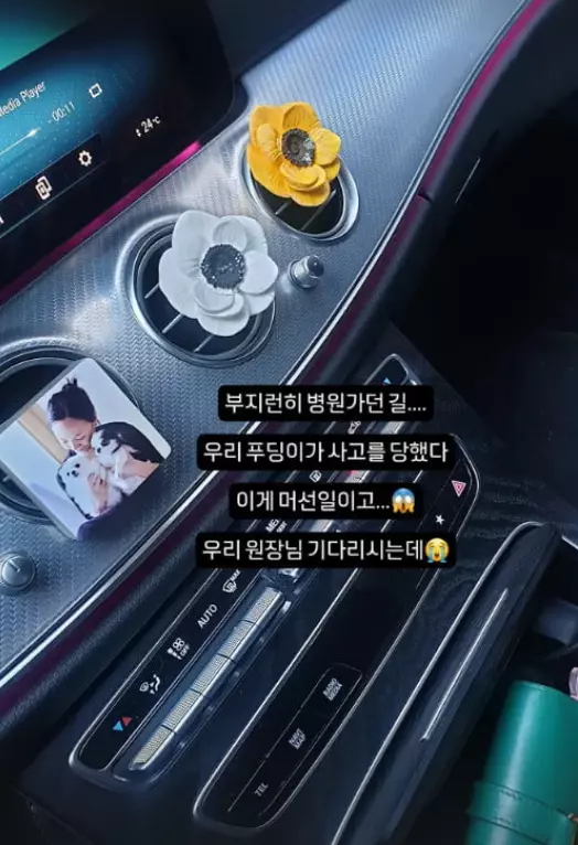 고은아