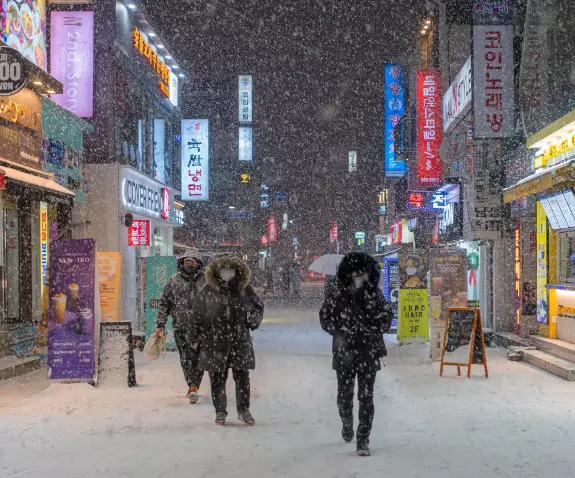 대설