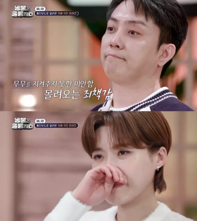 장도연