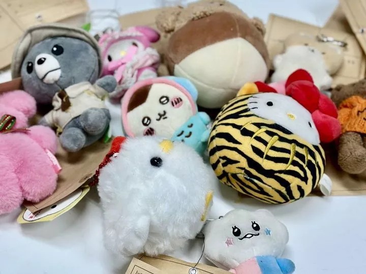 인형 키링 유실물