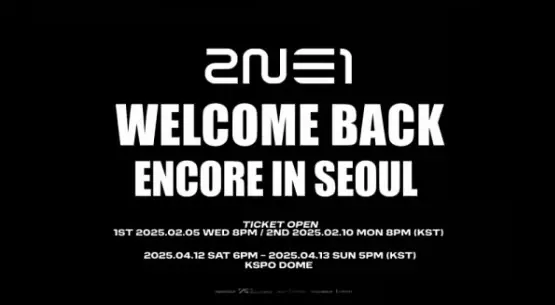 2ne1 콘서트