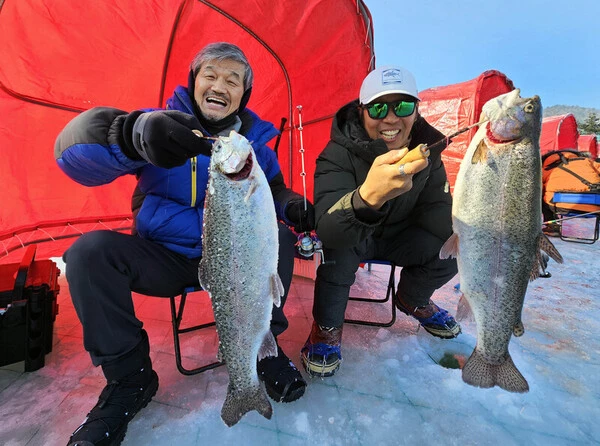 평창송어축제