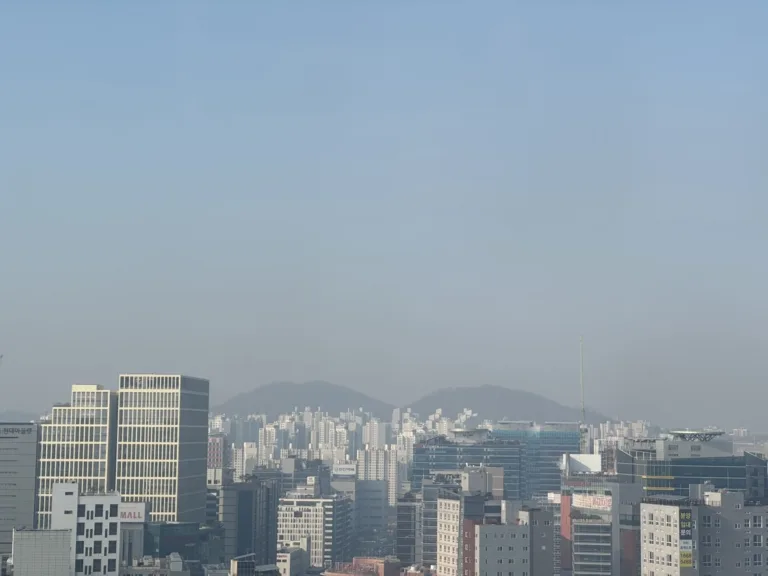 미세먼지
