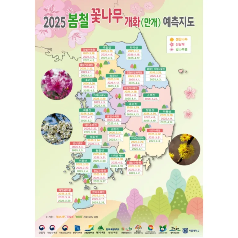 봄철 개화 예측 지도