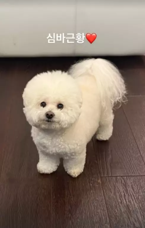 박서준