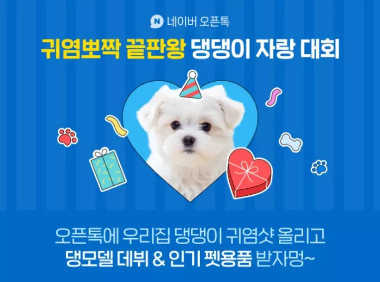 댕댕이자랑