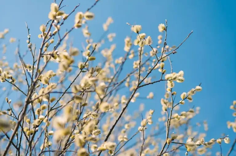 날씨
