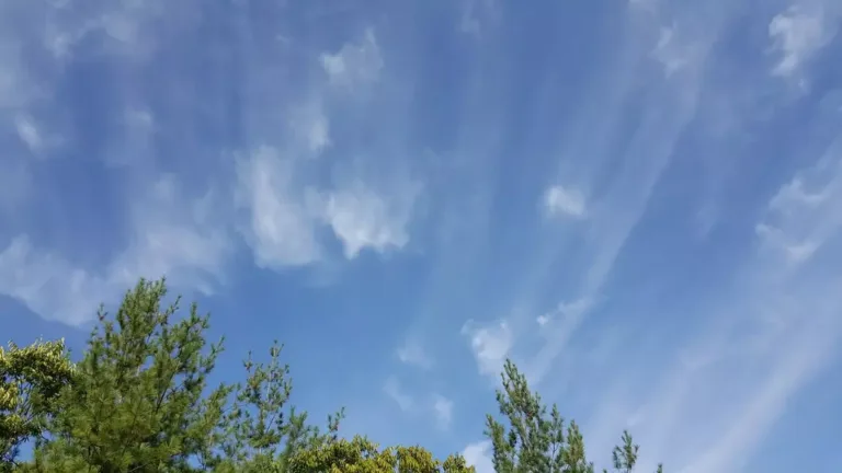 날씨
