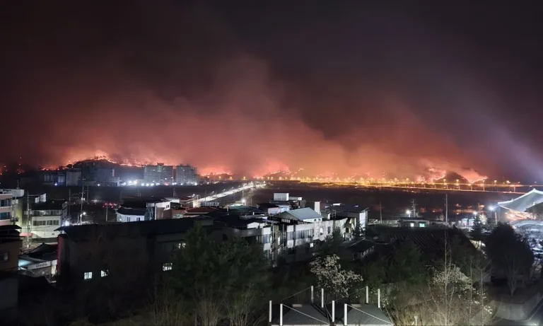 지난 25일 경북 안동시 국립경국대학교에서 바라본 산불.