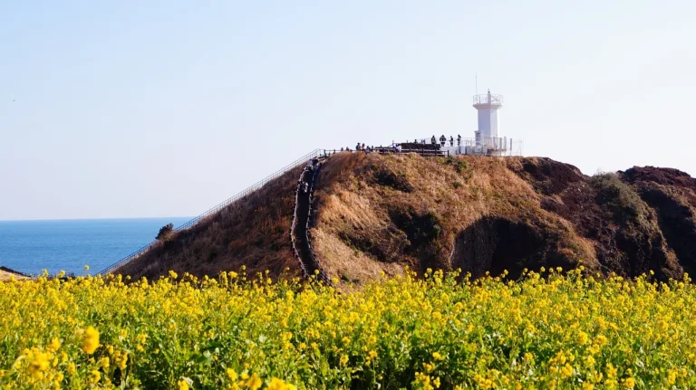 제주도.