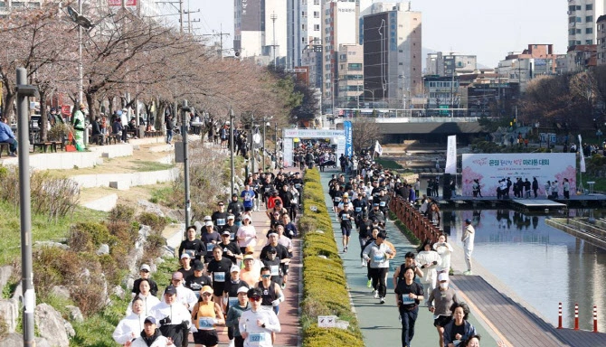 2025 은평 불광천 벚꽃 마라톤대회