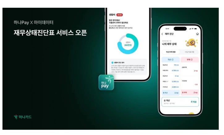 하나카드 재무상태진단표