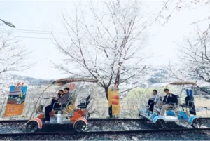 청도레일바이크