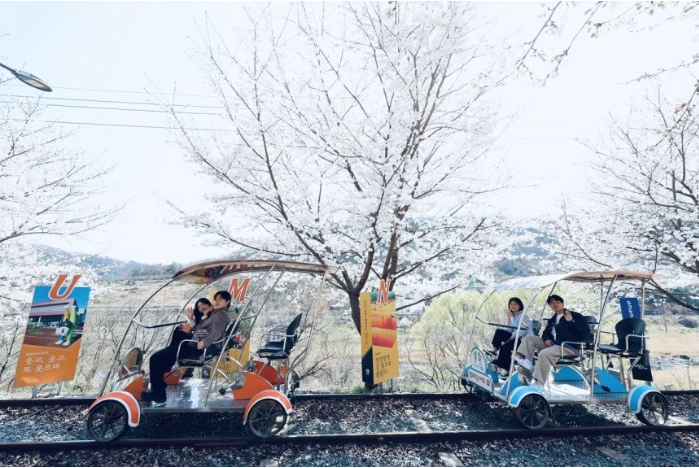 청도레일바이크