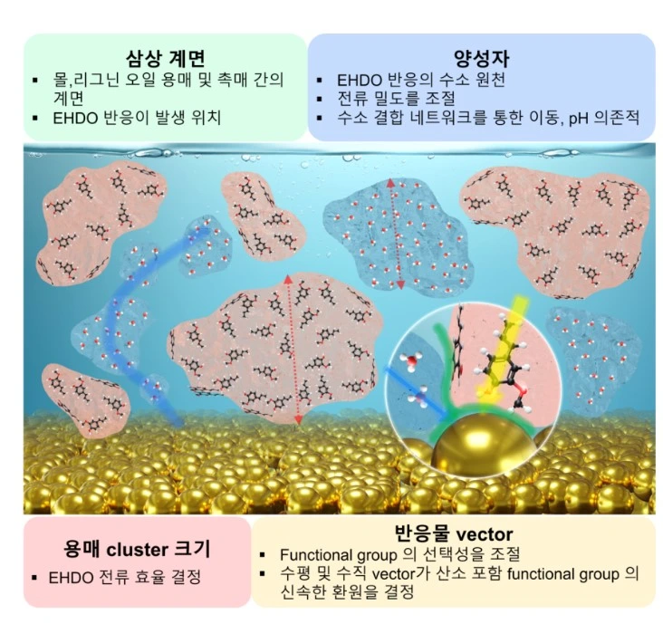 폐목재 SAF