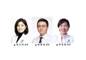망막 사진