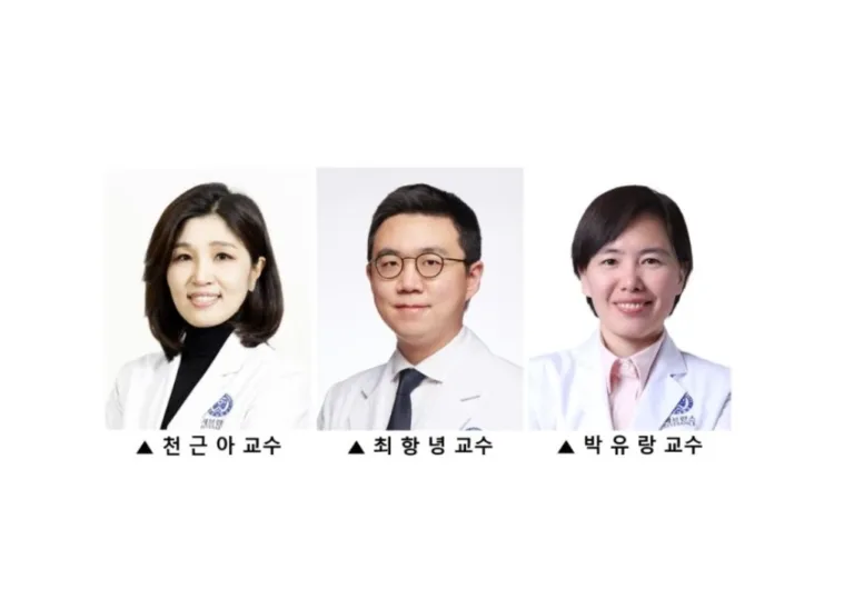 망막 사진