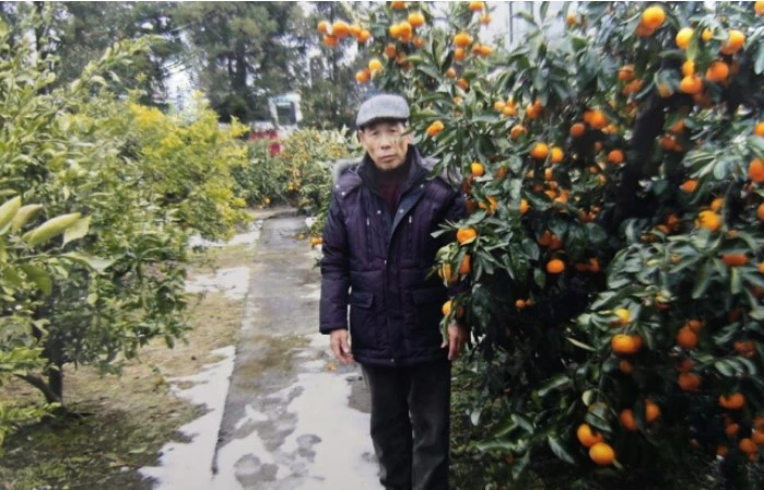 뇌사