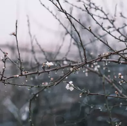 날씨