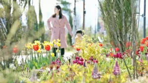 국립세종수목원