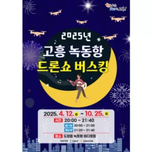'2025 고흥 녹동항 드론쇼 버스킹' 포스터.