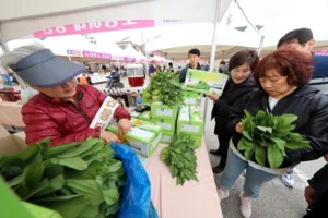 인제군의 대표 직거래 장터인 '인제 에누리장터'가 19일 문을 연다.