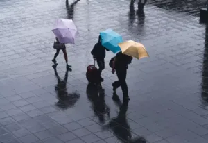 비.
