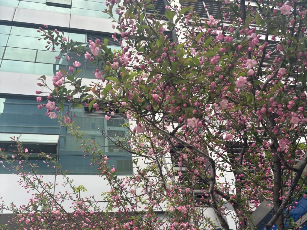 18일 금요일은 전국적으로 초여름 더위가 기승을 부리겠다.