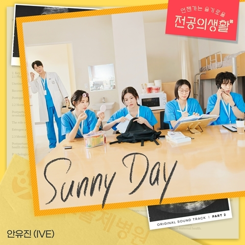 언젠가는 슬기로울 의사생활 OST 표지.