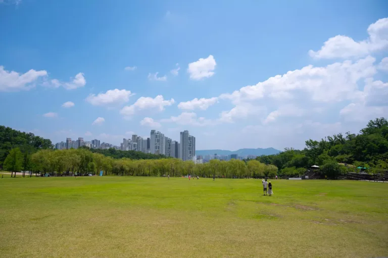 북서울 꿈의 숲.