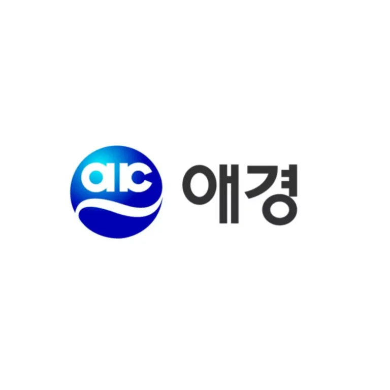 애경그룹이 재무구조 개선을 위해 핵심 계열사인 애경산업의 매각을 추진하고 있는 것으로 나타났다.
