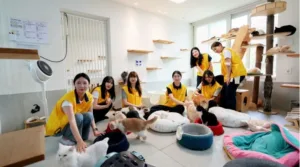 HDC현대산업개발
