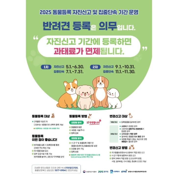 수원시 반려동물