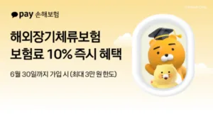 카카오페이손보