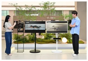 삼성 OLED