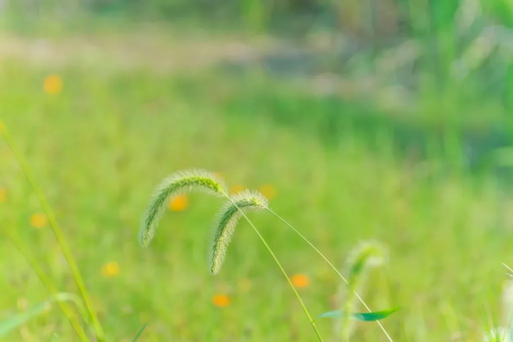 봄날씨