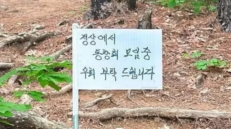 산 정상 '동창회 모임 중' 팻말 논란…등산객 통행 막은 황당 사건