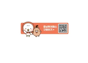 충남 투어패스