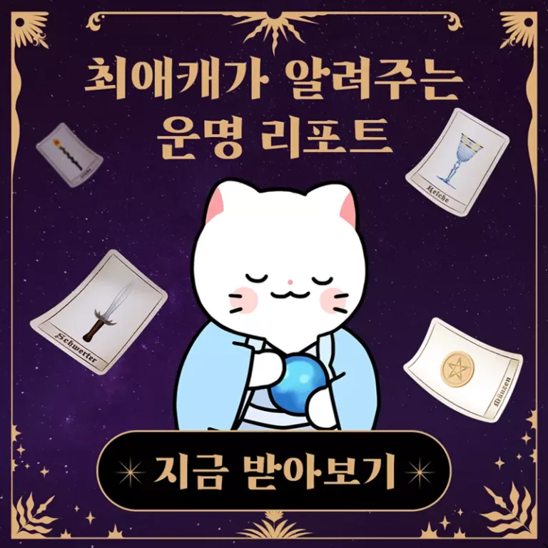 웹 서비스 ‘타로툰’