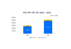 국내 서버