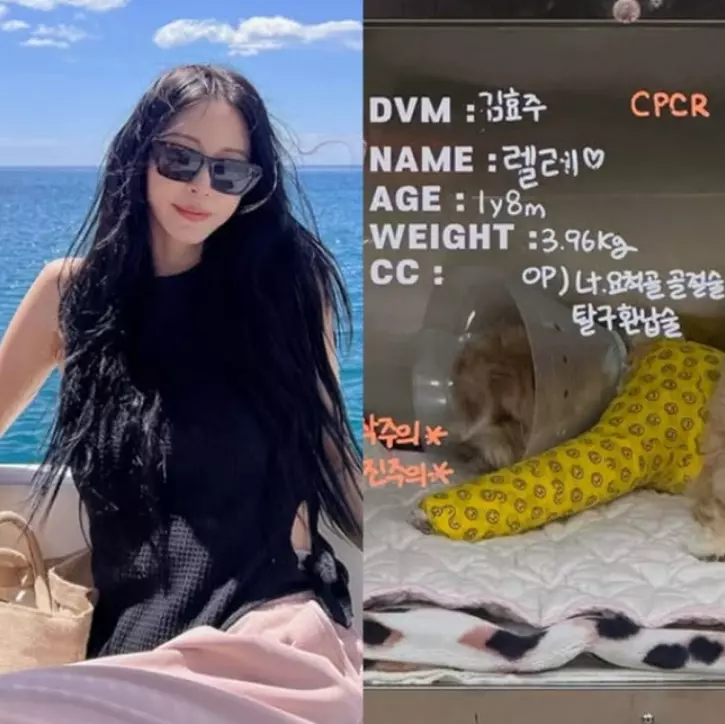 한예슬