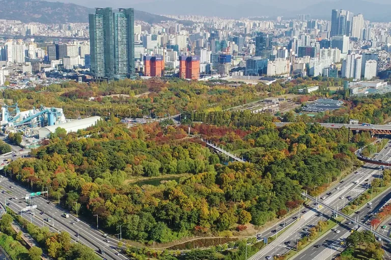 서울숲 전경