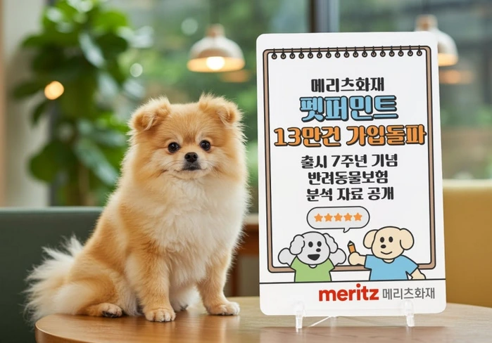 메리츠화재