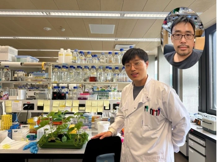 KAIST